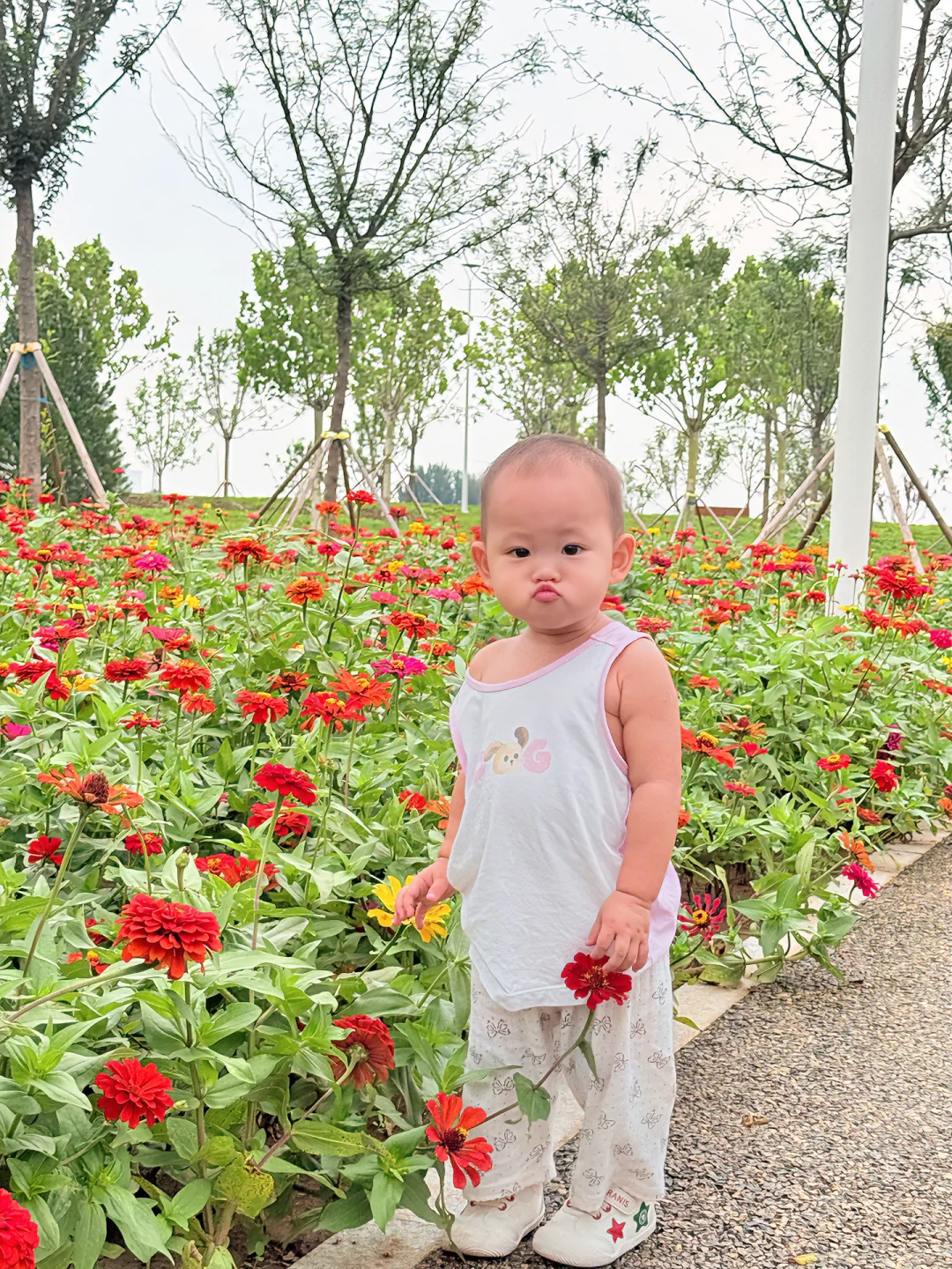 天津遛娃|国家会展码头亲子骑行遛娃好去处