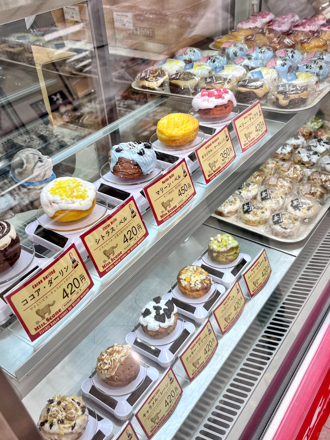 横滨?甜品博览会，我逛了4圈