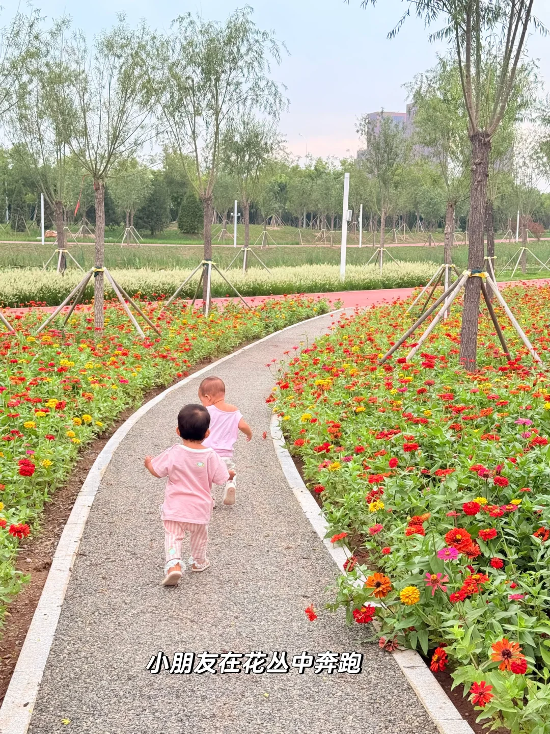 天津遛娃|国家会展码头亲子骑行遛娃好去处