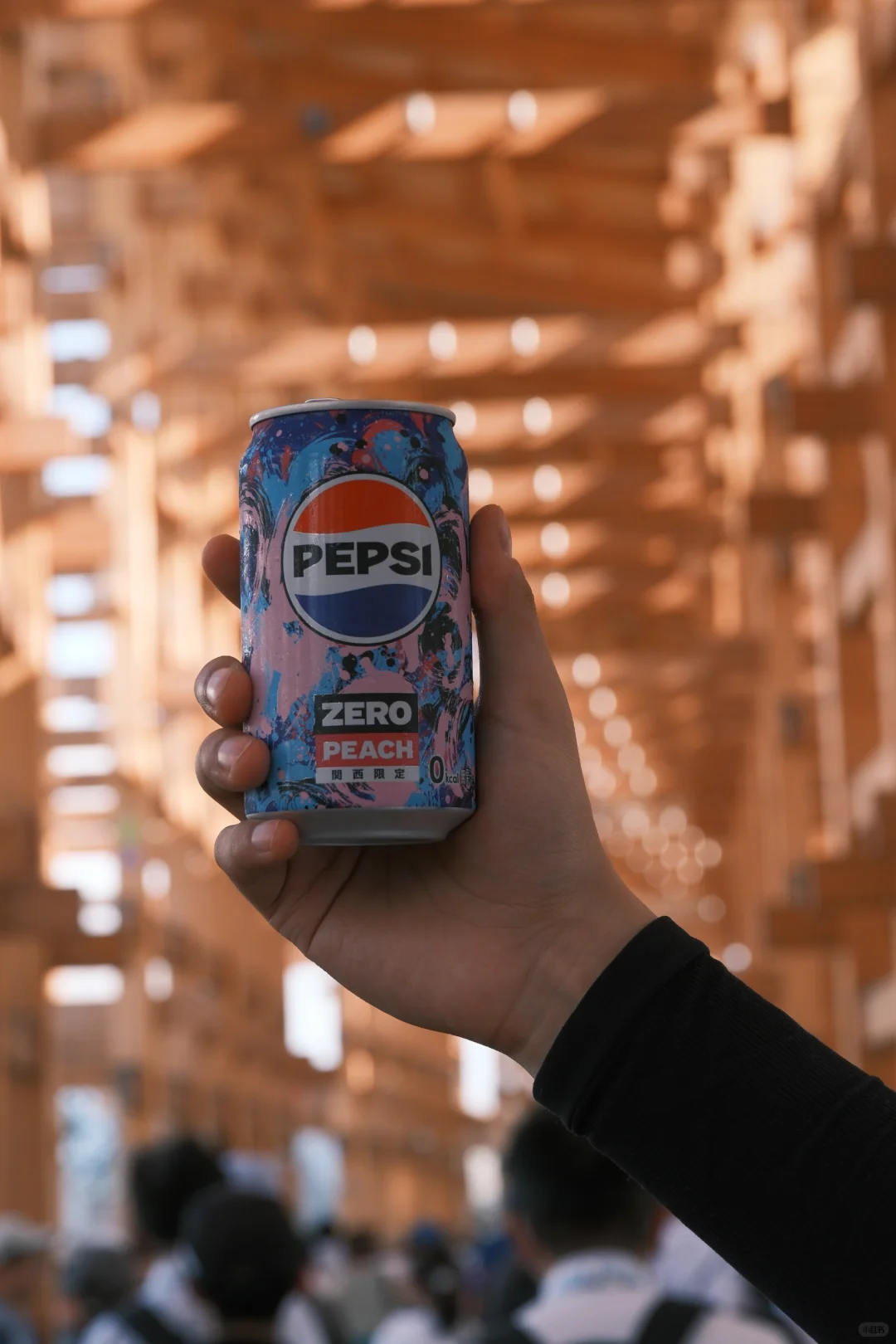 大阪世博会过来人的实用小tips