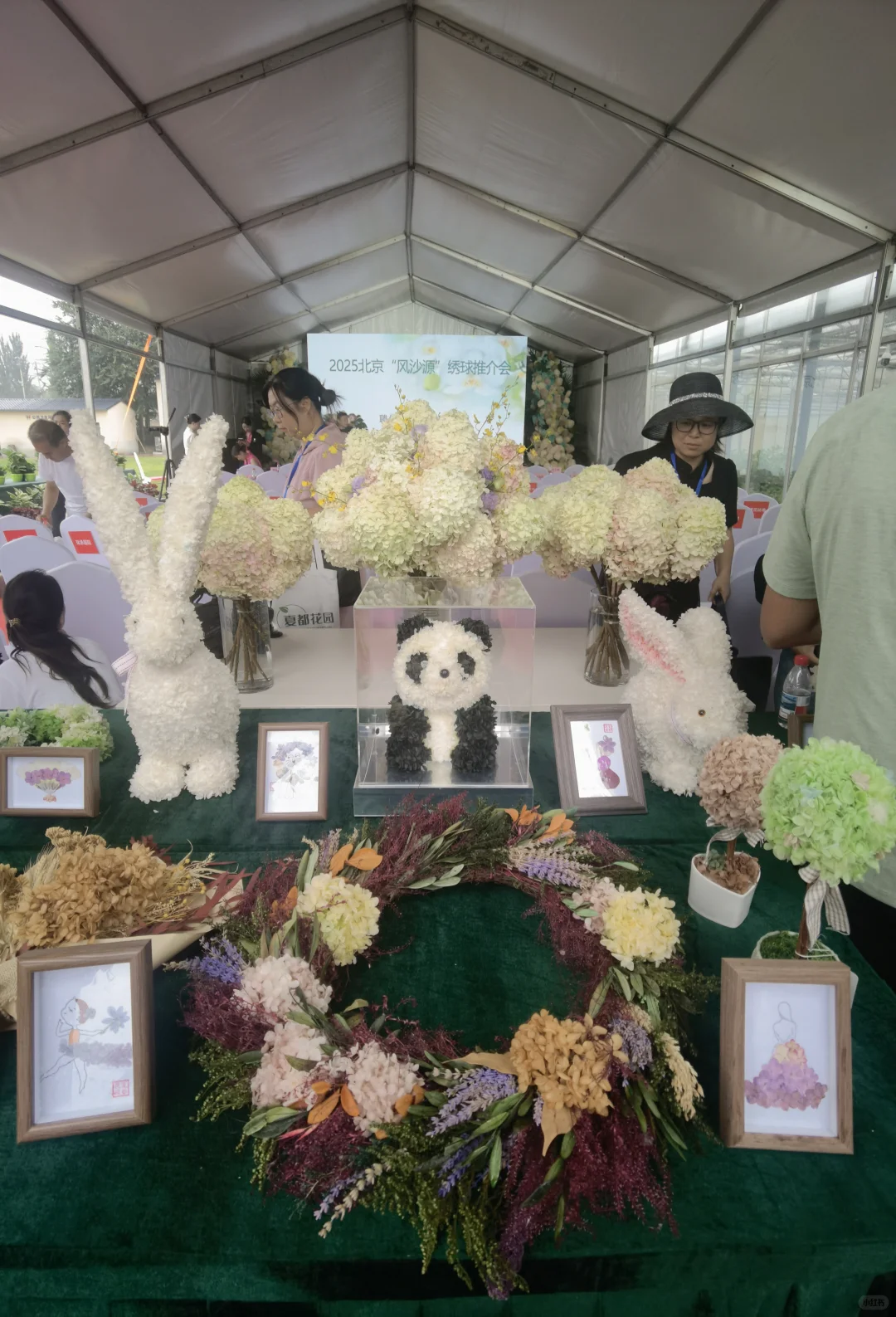 2025北京风沙源绣球推介会