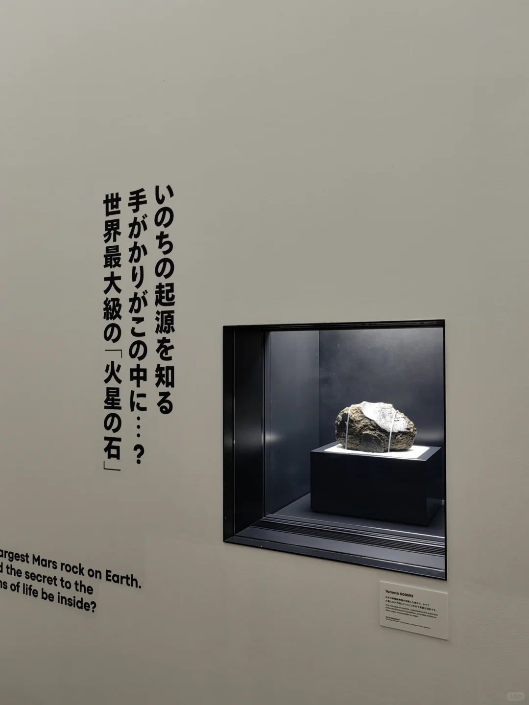 大阪世博会过来人的实用小tips