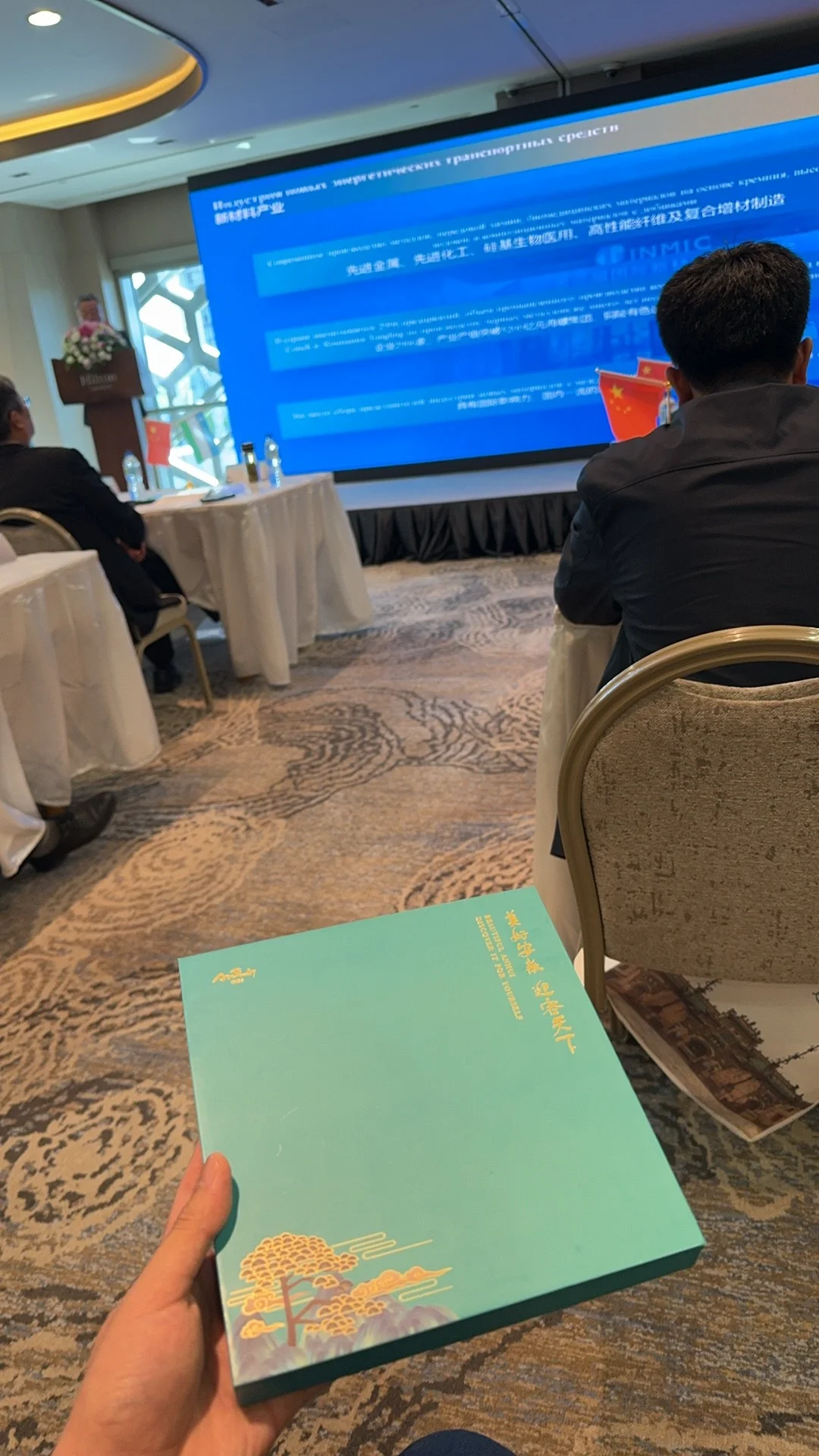 安徽省副省长孙书记和使馆王参赞