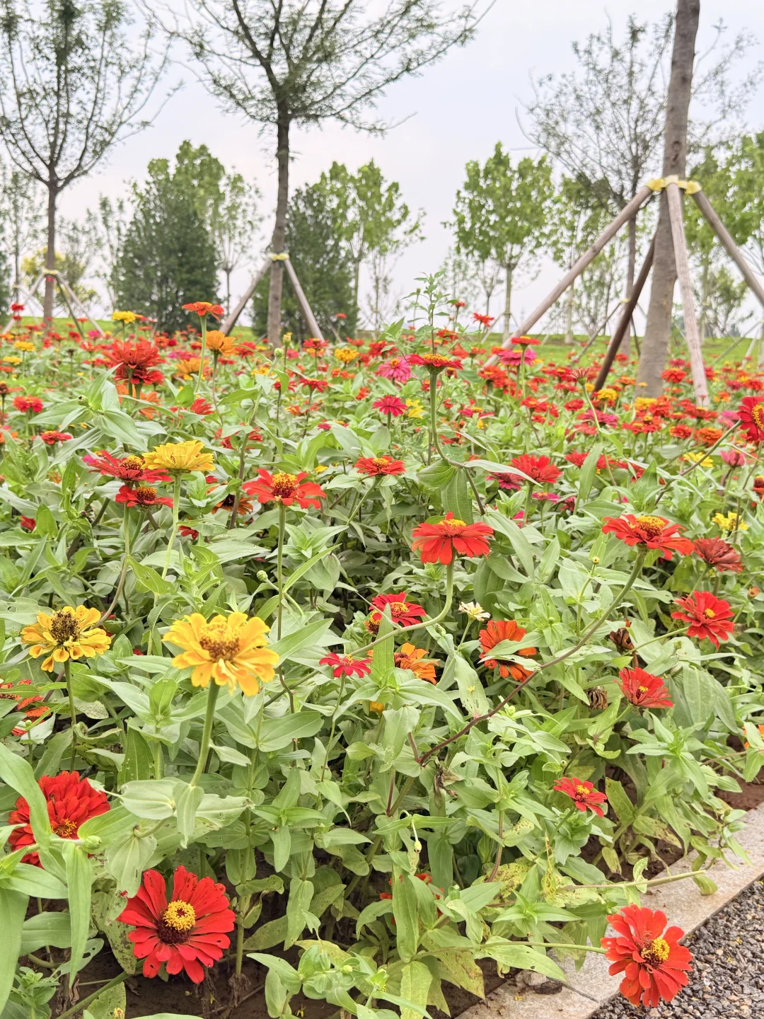 天津遛娃|国家会展码头亲子骑行遛娃好去处