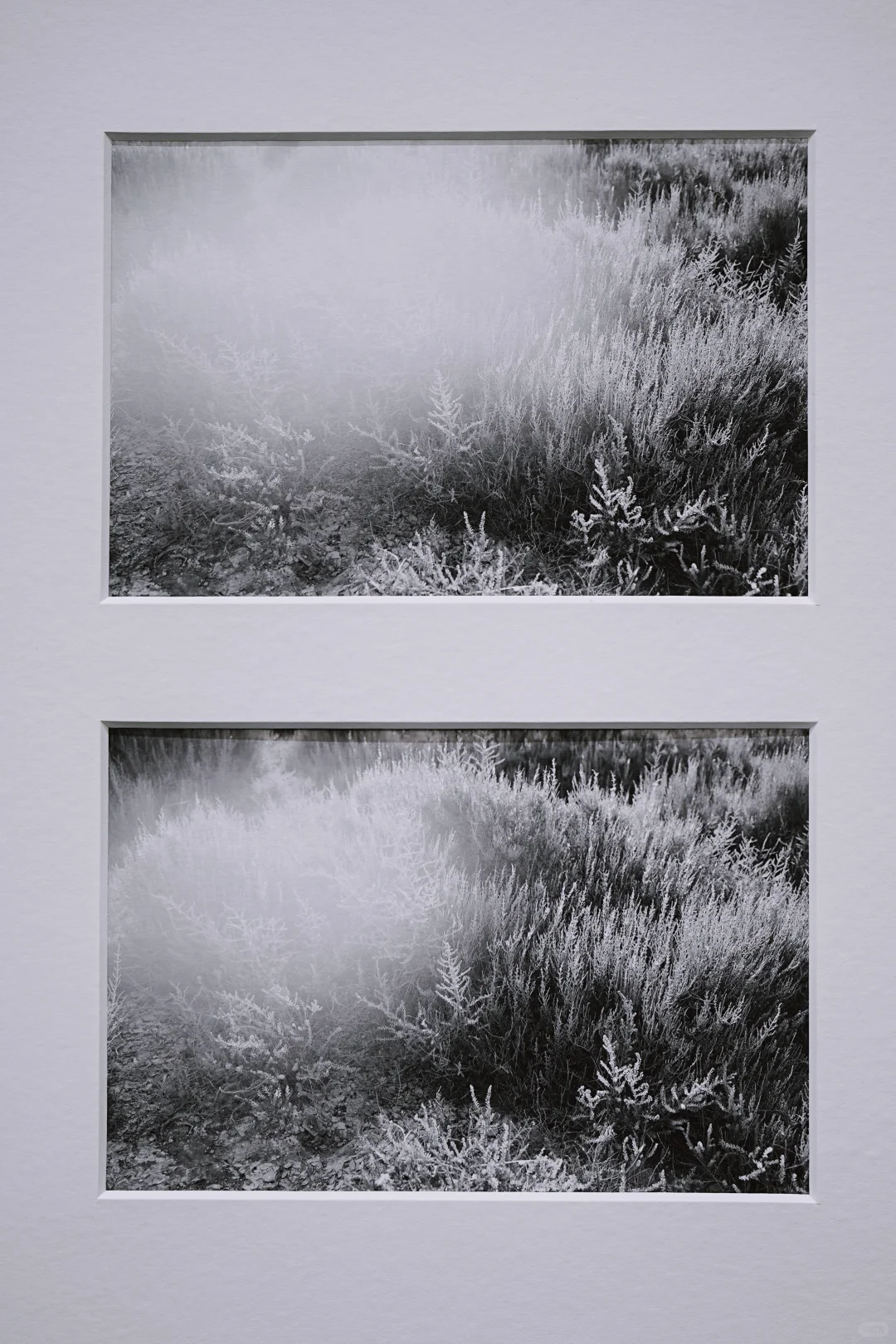 上海新展NoWhereNowHere｜闯入盐的灰白映界