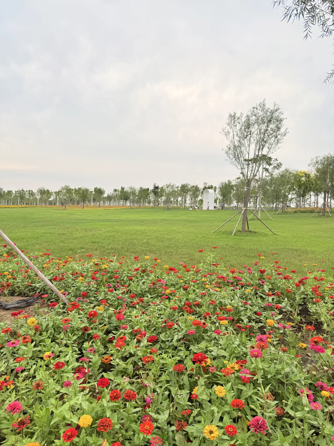 天津遛娃|国家会展码头亲子骑行遛娃好去处