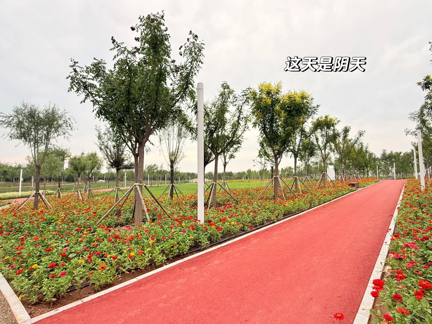 天津遛娃|国家会展码头亲子骑行遛娃好去处