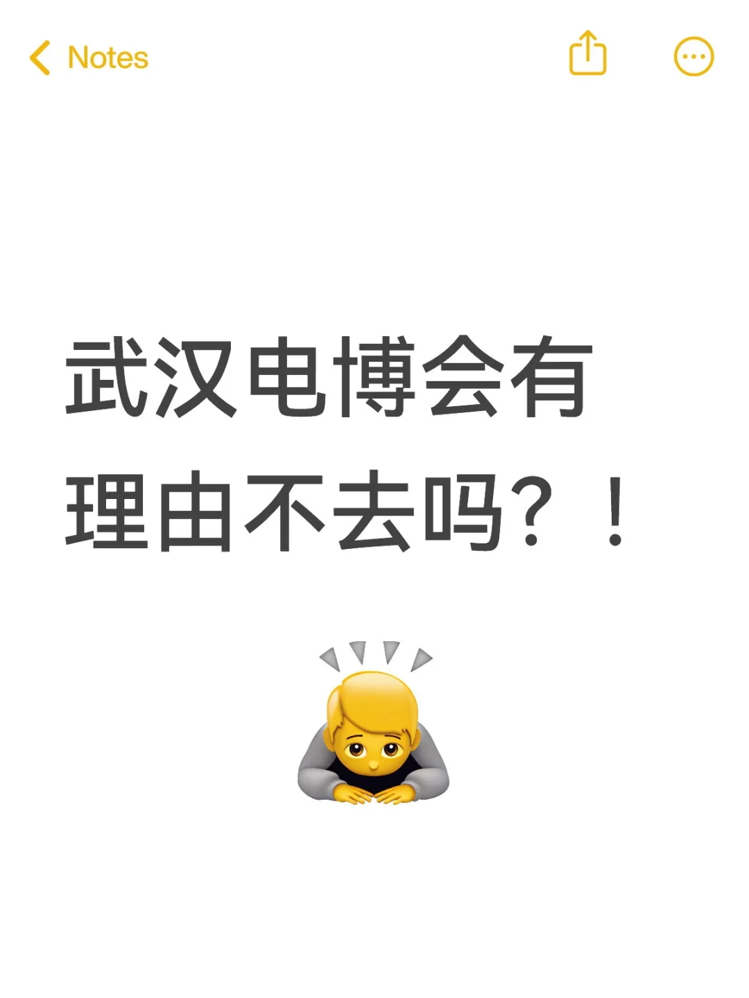 武汉电博会有理由不去吗？！