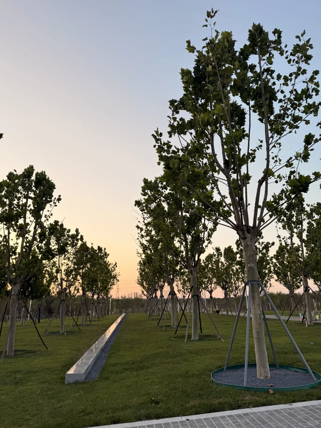 天津遛娃|国家会展码头亲子骑行遛娃好去处