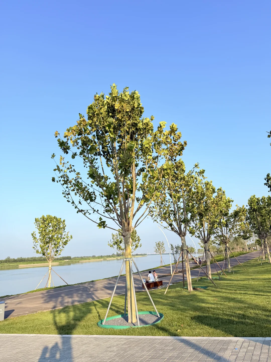 天津遛娃|国家会展码头亲子骑行遛娃好去处