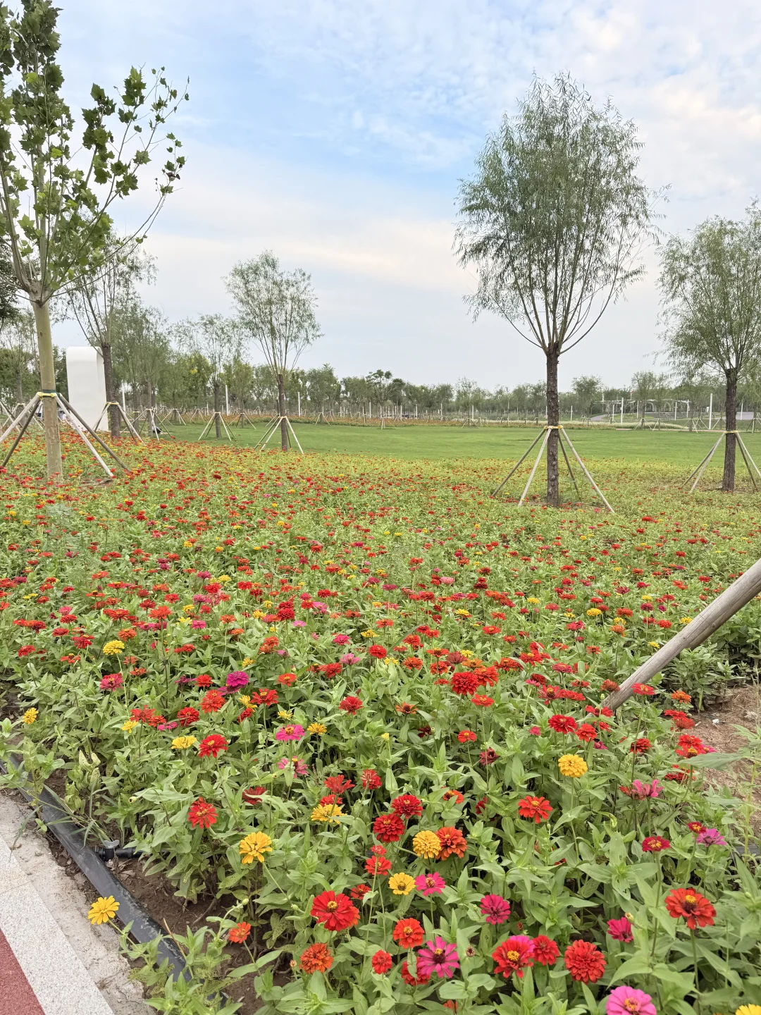 天津遛娃|国家会展码头亲子骑行遛娃好去处