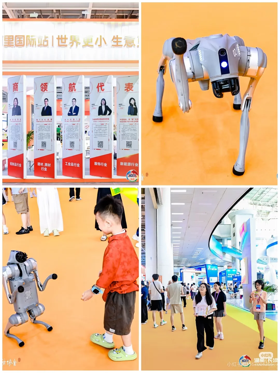 【活动】湖南跨境电商交流会✨✨??