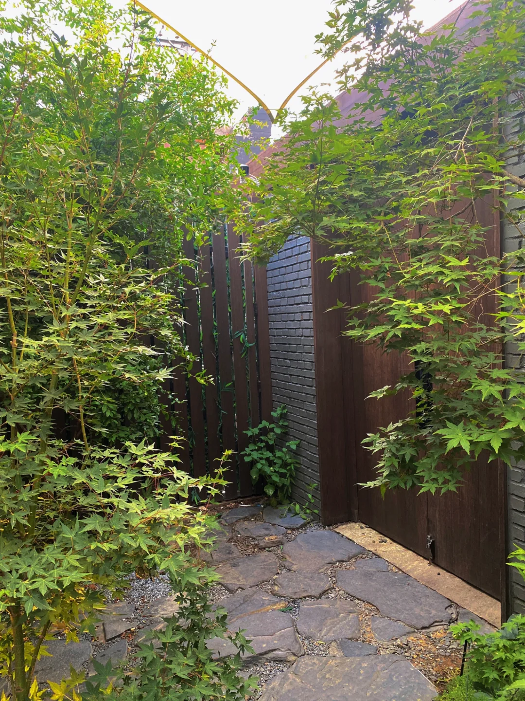 心不受力则能量自生