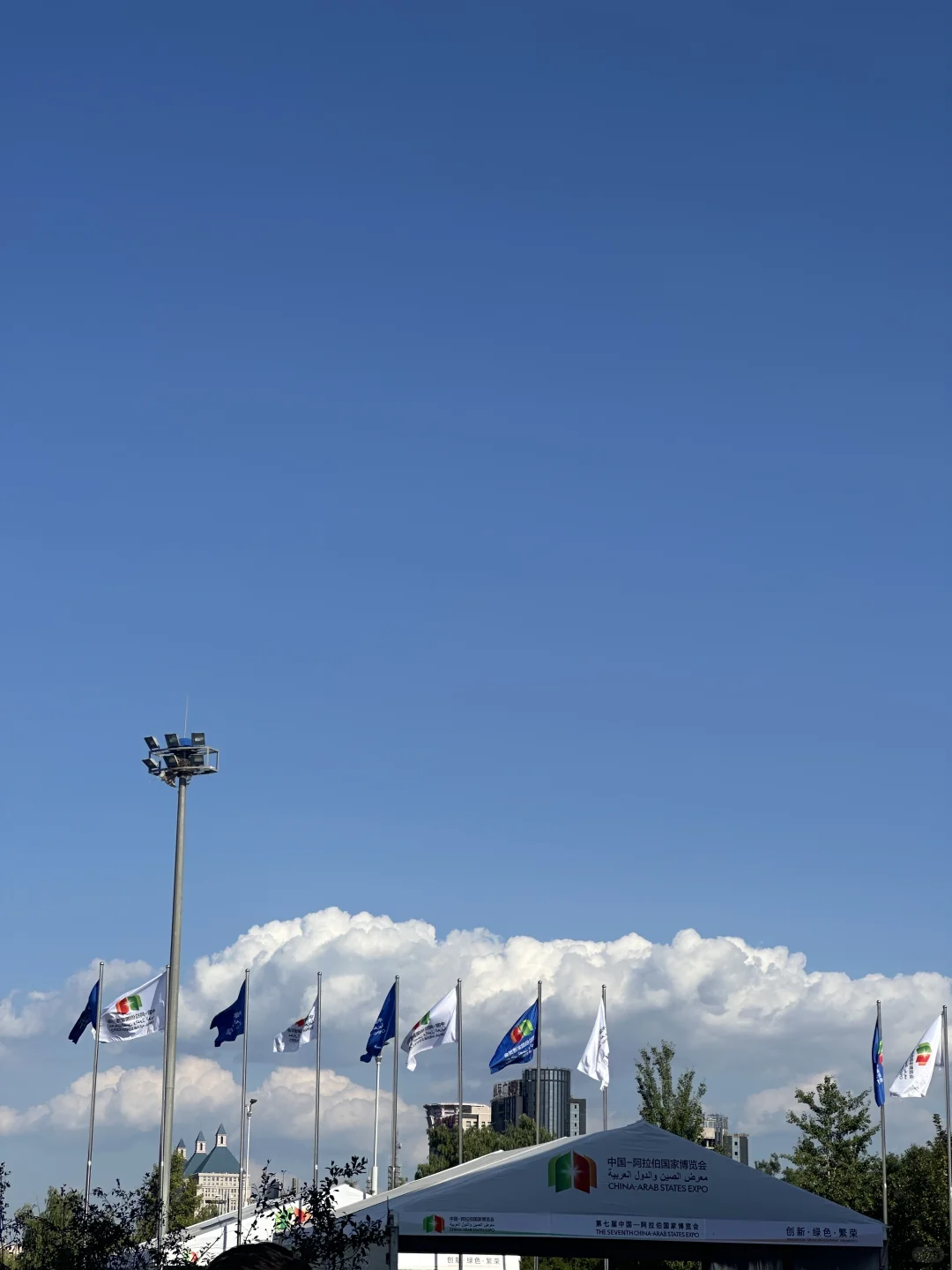 中阿博览会????