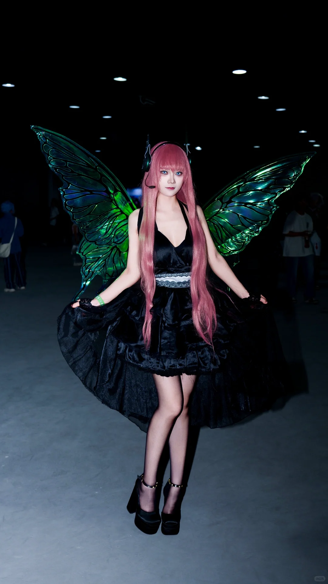 求38赞 GQ青年动漫文化博览会自由行申请