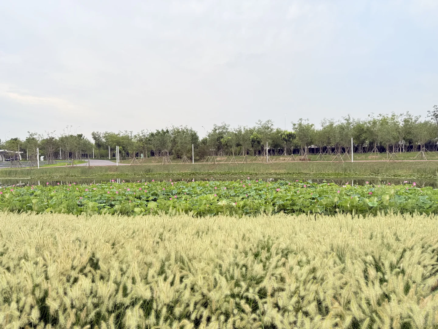 天津遛娃|国家会展码头亲子骑行遛娃好去处