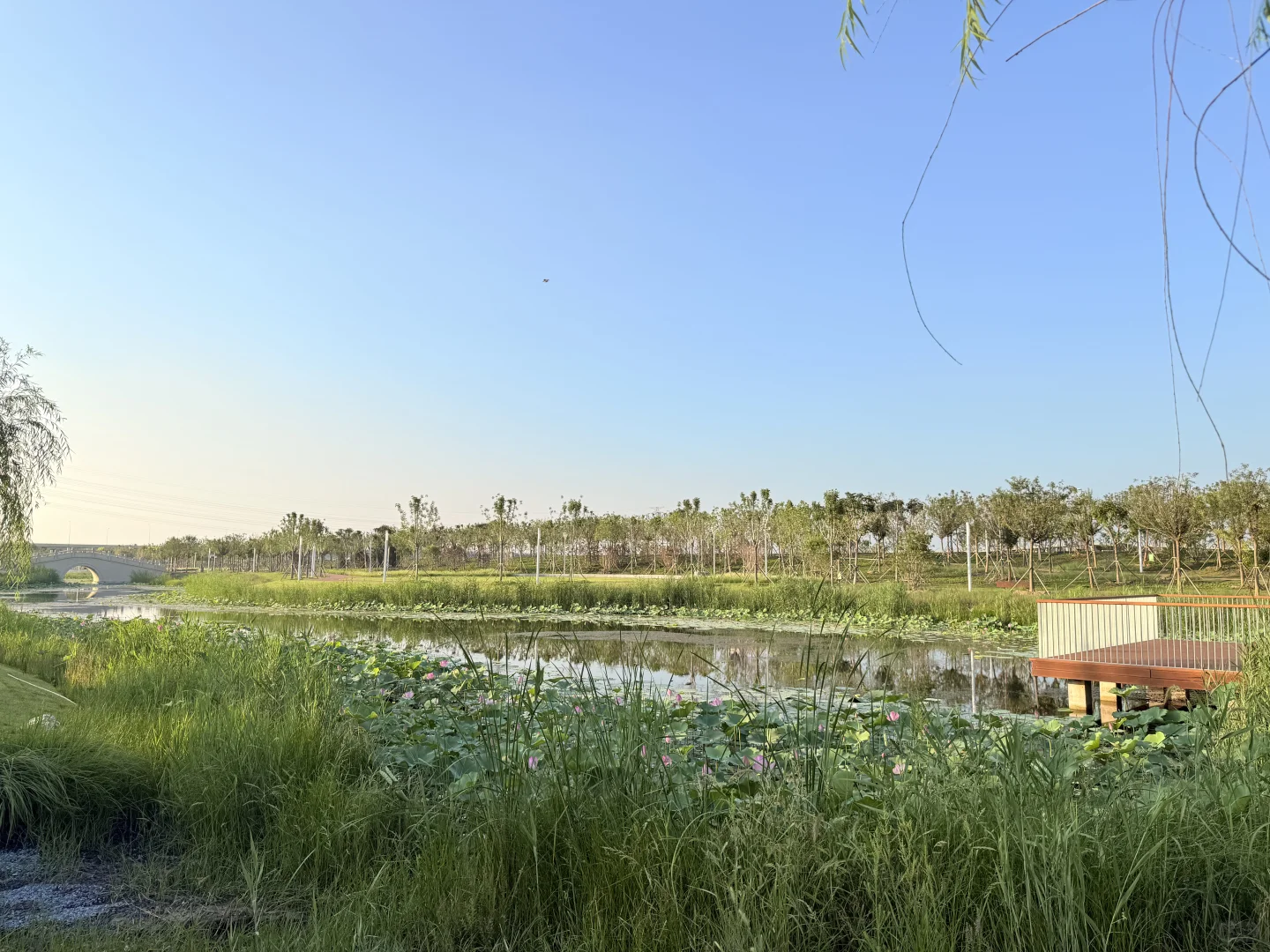 天津遛娃|国家会展码头亲子骑行遛娃好去处