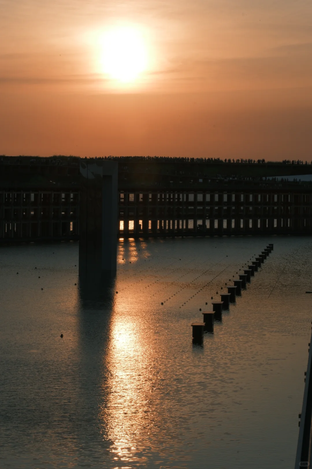 大阪世博会过来人的实用小tips