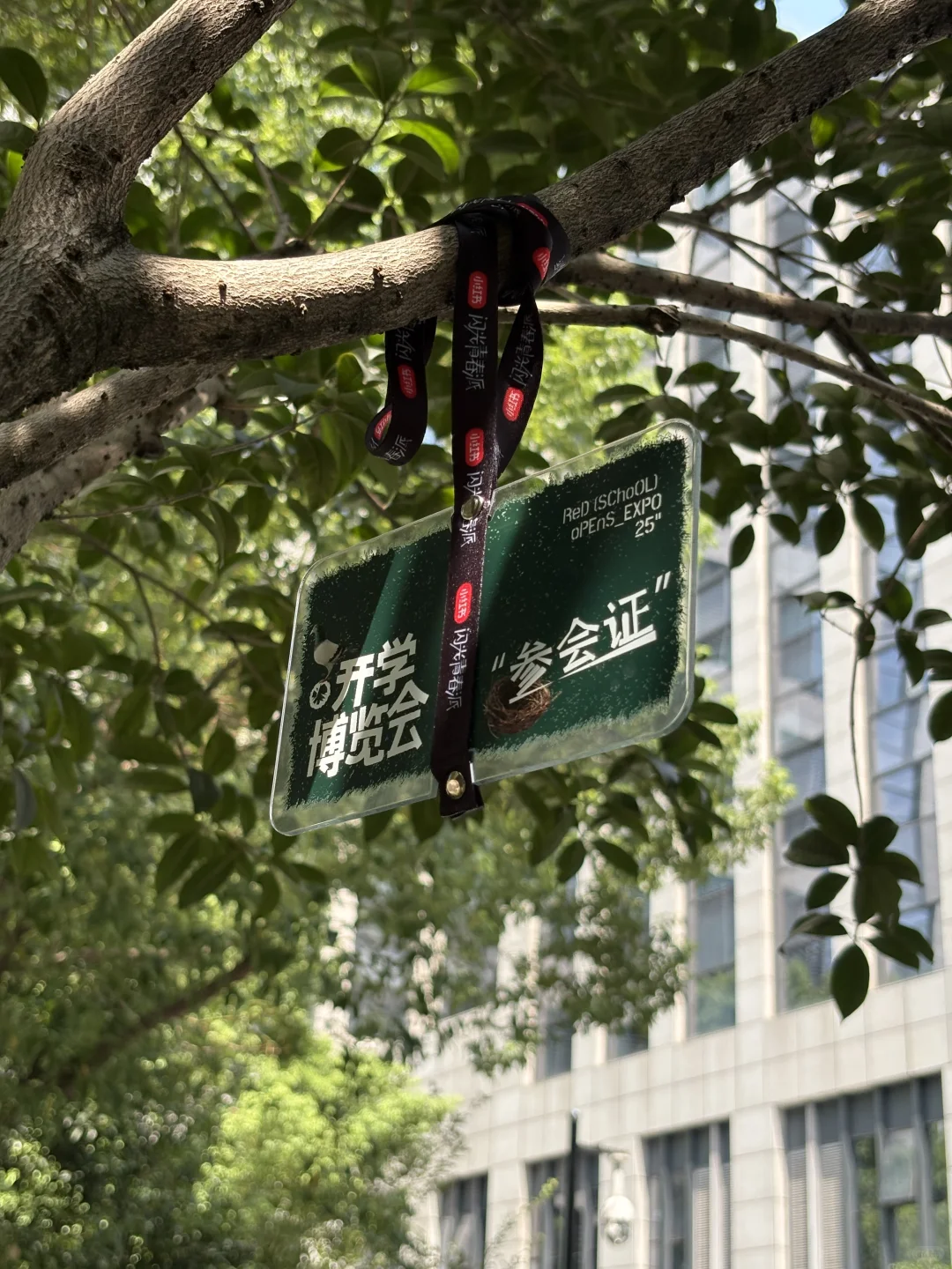 笑死，也是让小?攀上高枝了！