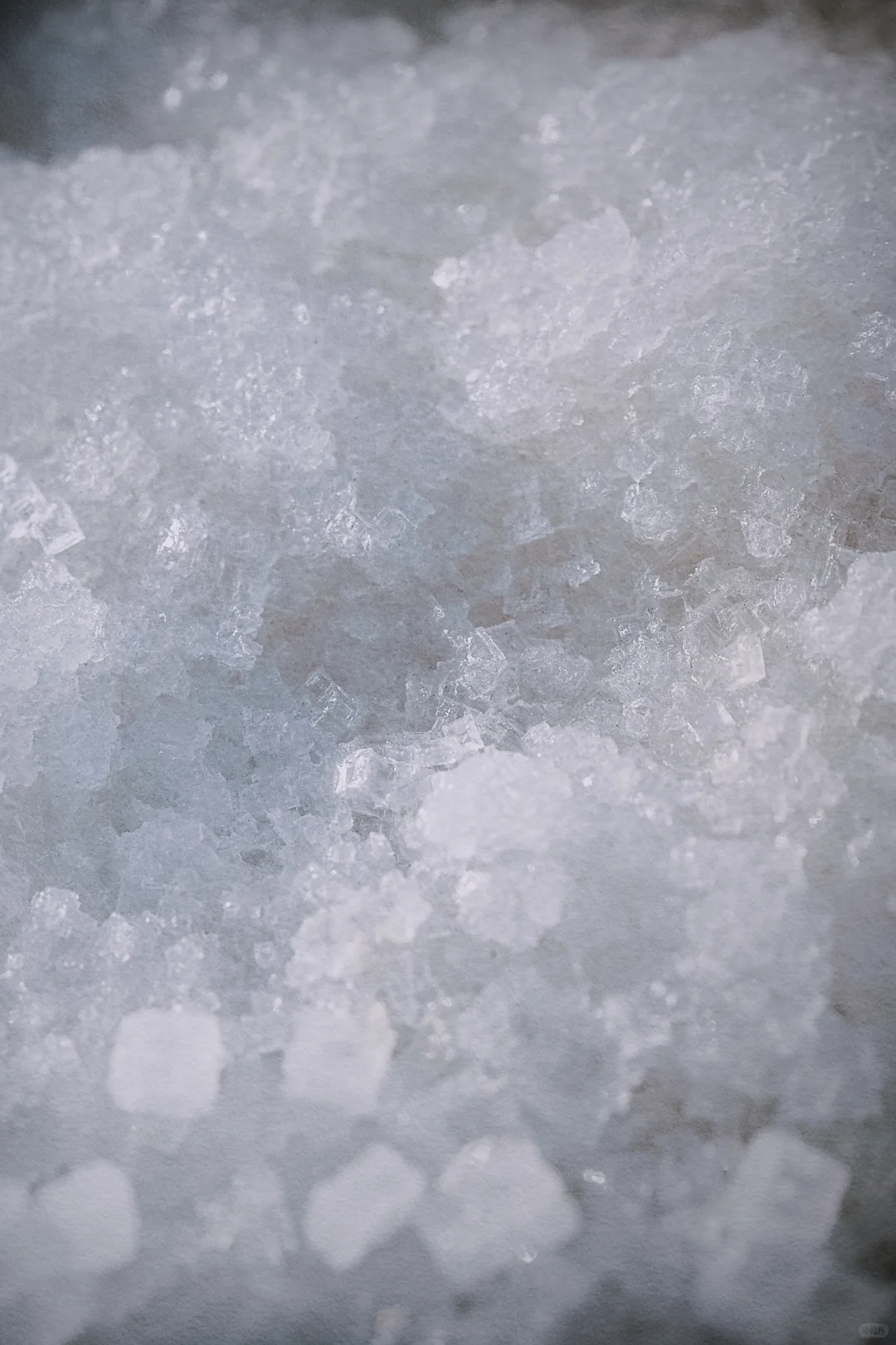 上海新展NoWhereNowHere｜闯入盐的灰白映界