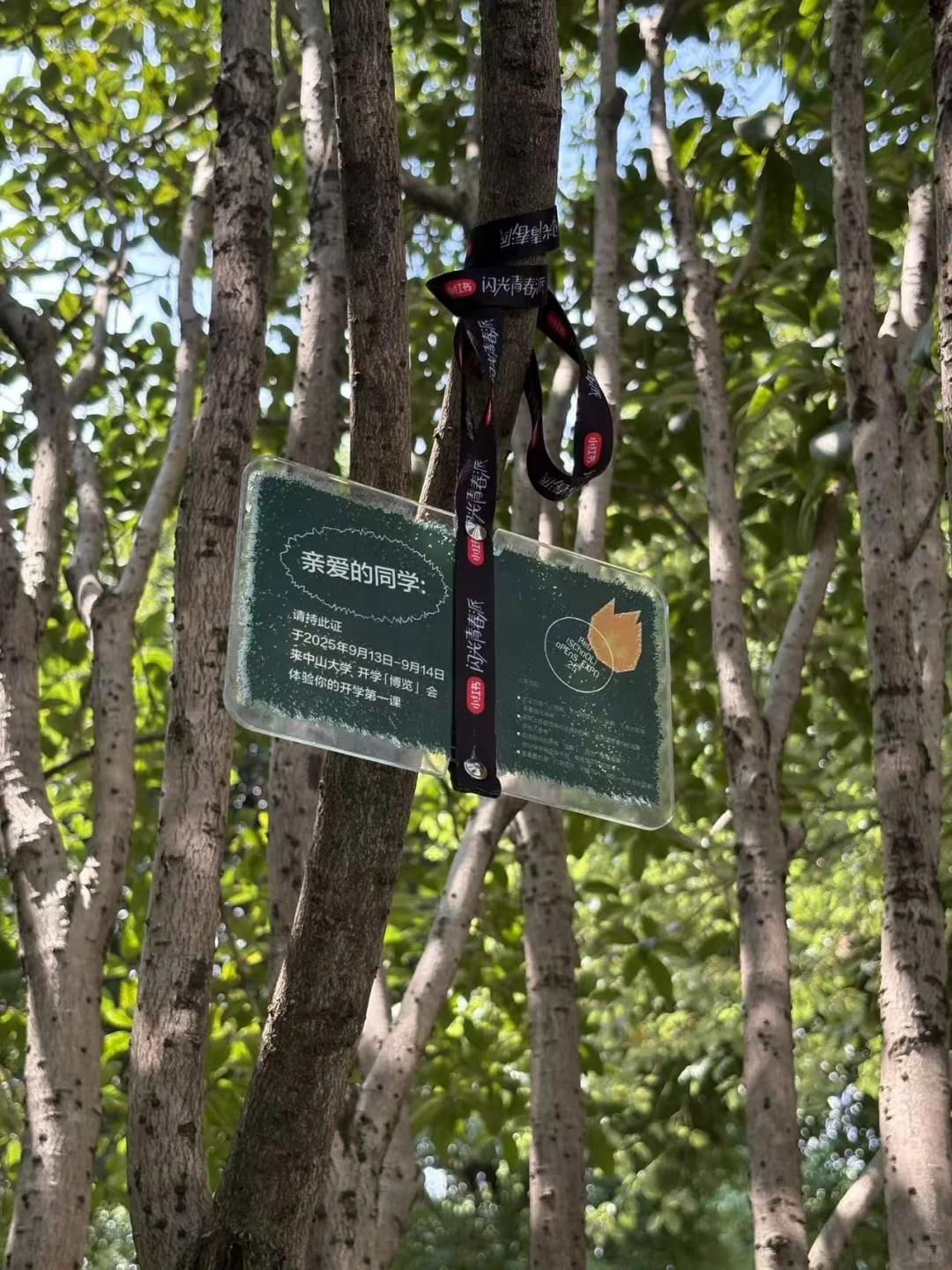 笑死，也是让小?攀上高枝了！