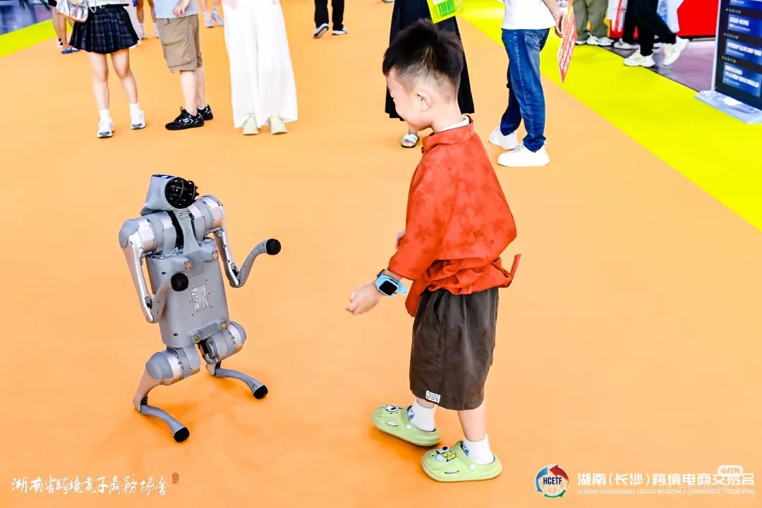 【活动】湖南跨境电商交流会✨✨??