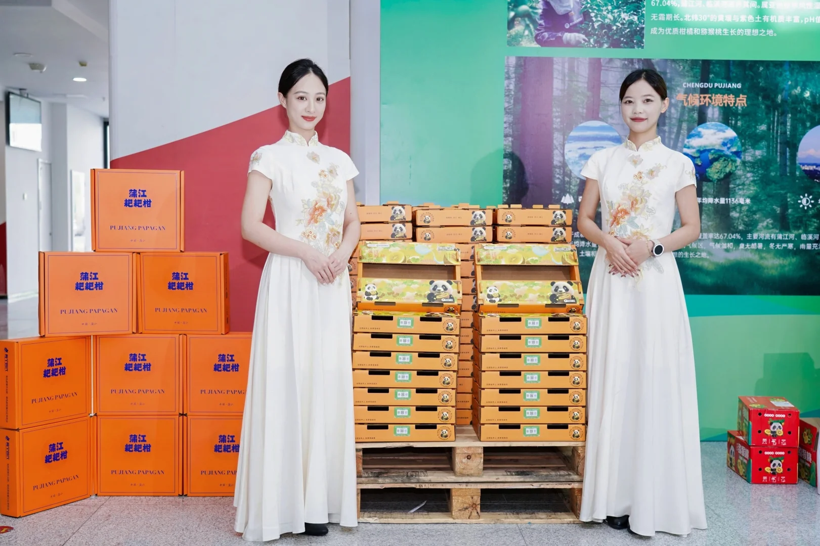 这个推介会主持太赞啦