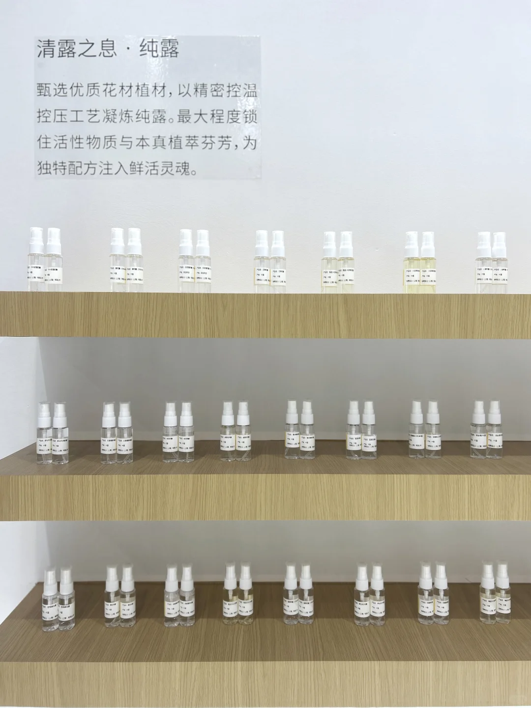 8.22～24 | 2025芳香展 X 有息「森森步息」