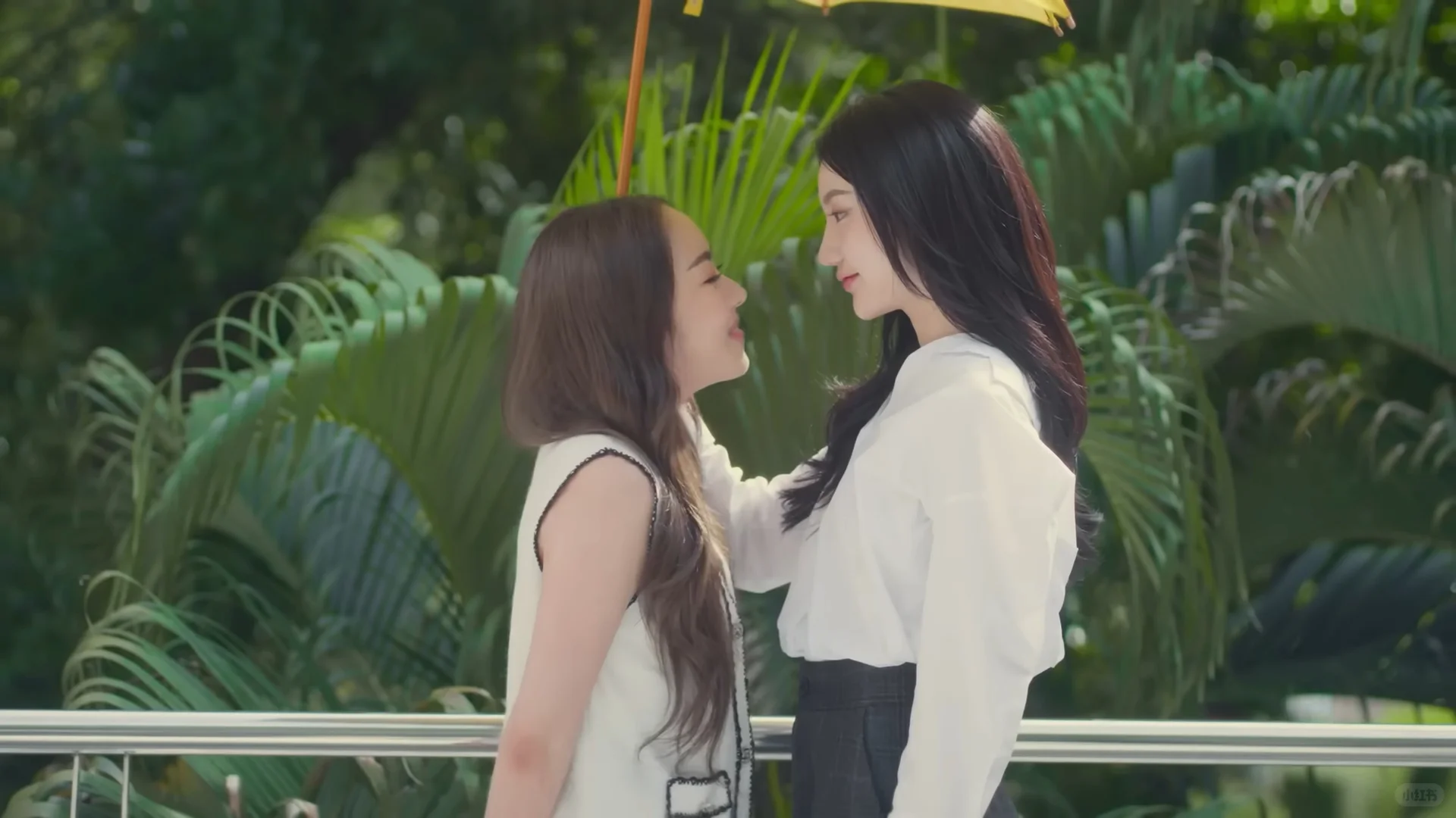 【资讯】｜星猎2025年新剧推介会GL总结