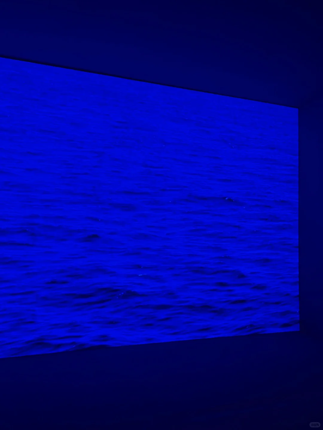 杭州新展｜超好逛!! 值得一看的高质画展?✨