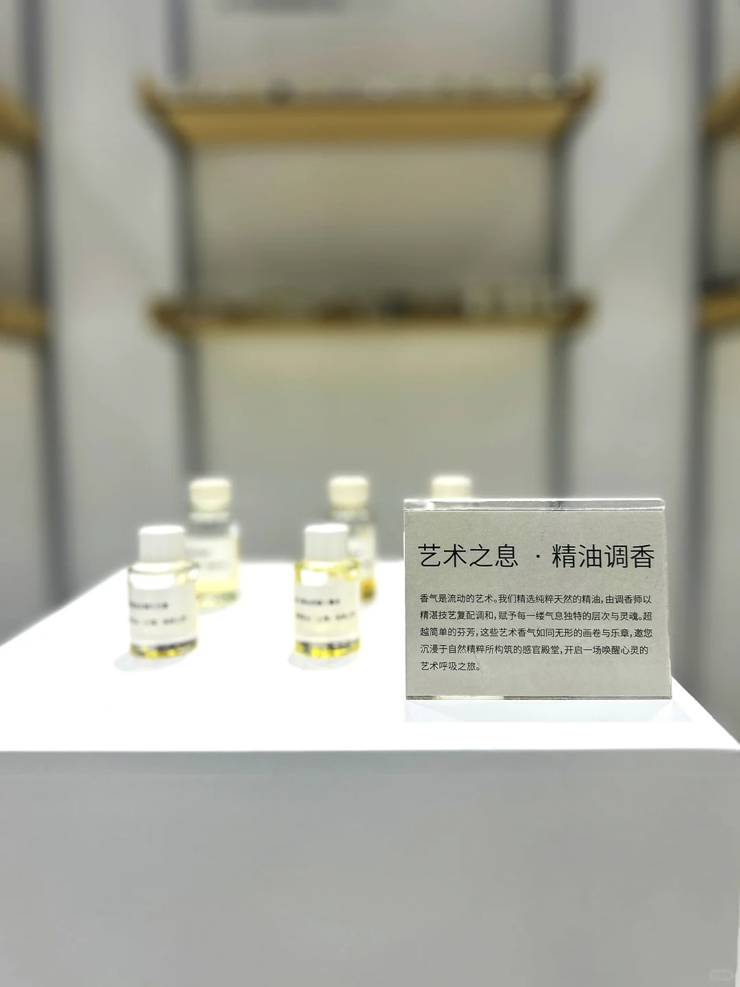 8.22～24 | 2025芳香展 X 有息「森森步息」