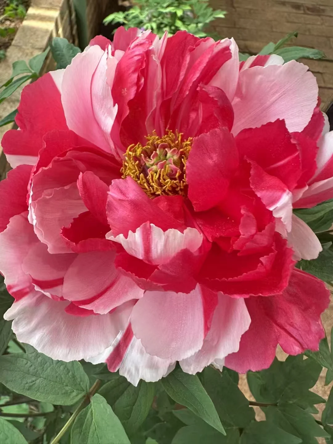 行业声援背后的利益纠葛：江湖深处的故事