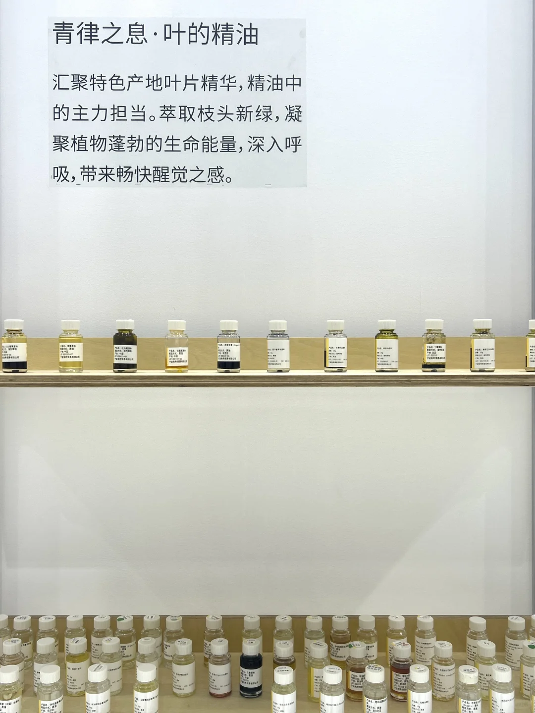 8.22～24 | 2025芳香展 X 有息「森森步息」