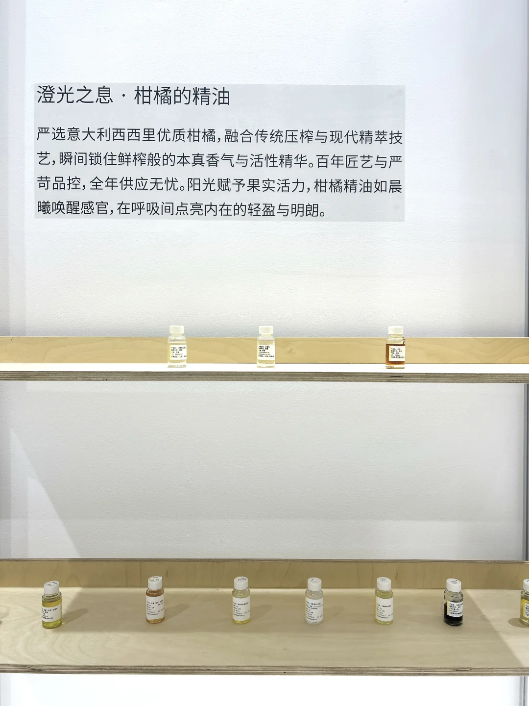 8.22～24 | 2025芳香展 X 有息「森森步息」