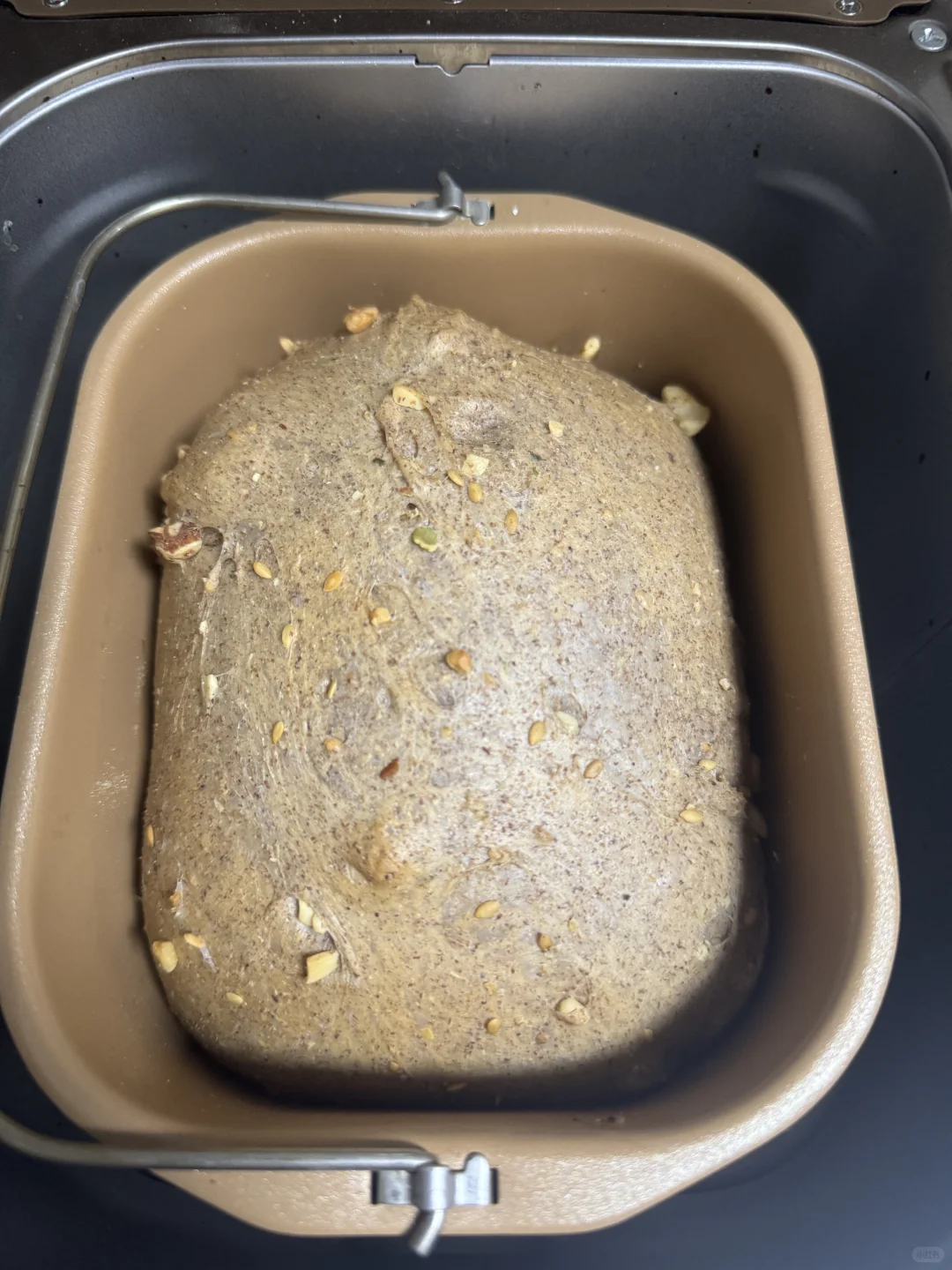 适合胰岛素抵抗糖尿病人减脂人的全麦面包