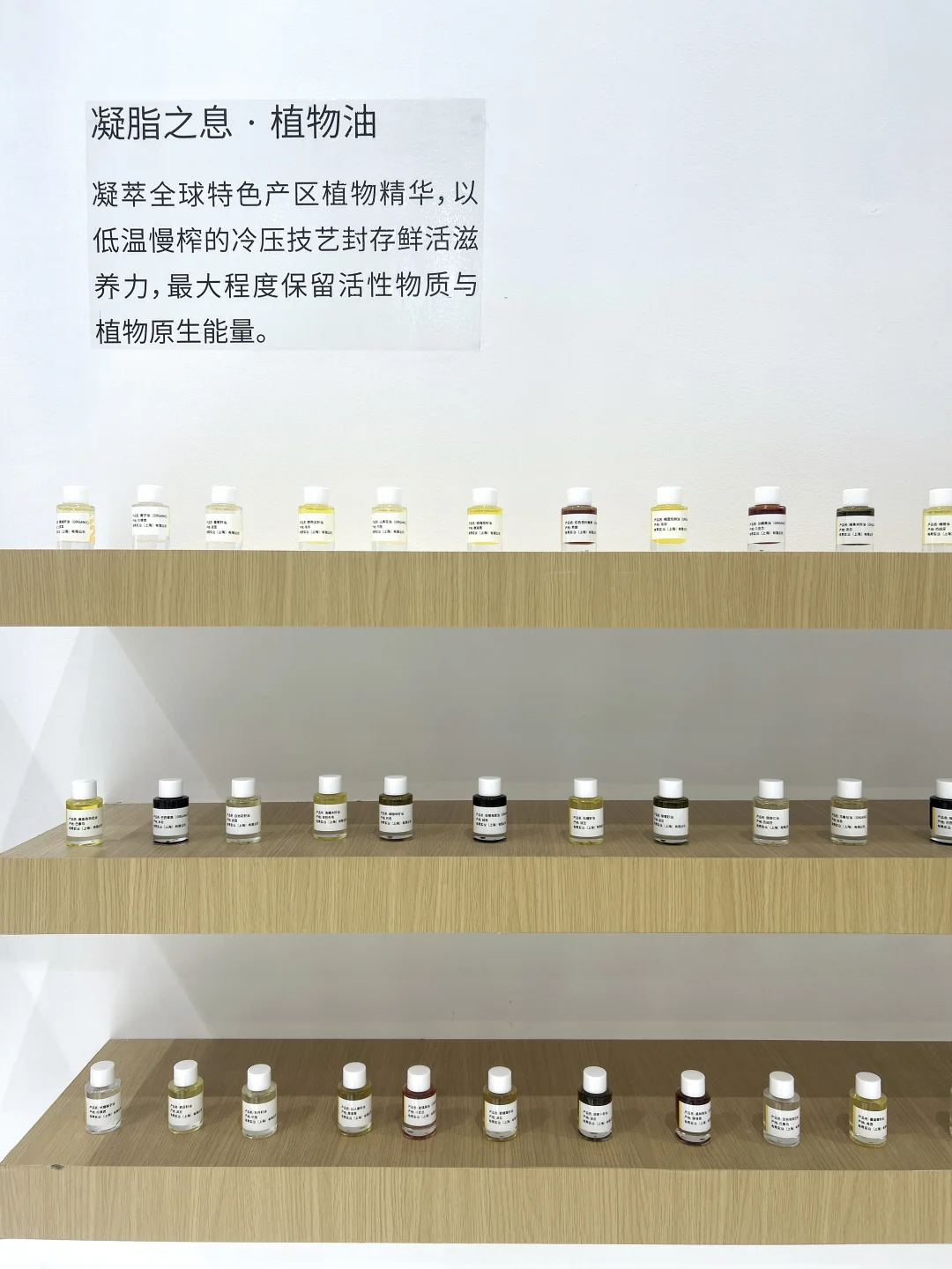 8.22～24 | 2025芳香展 X 有息「森森步息」