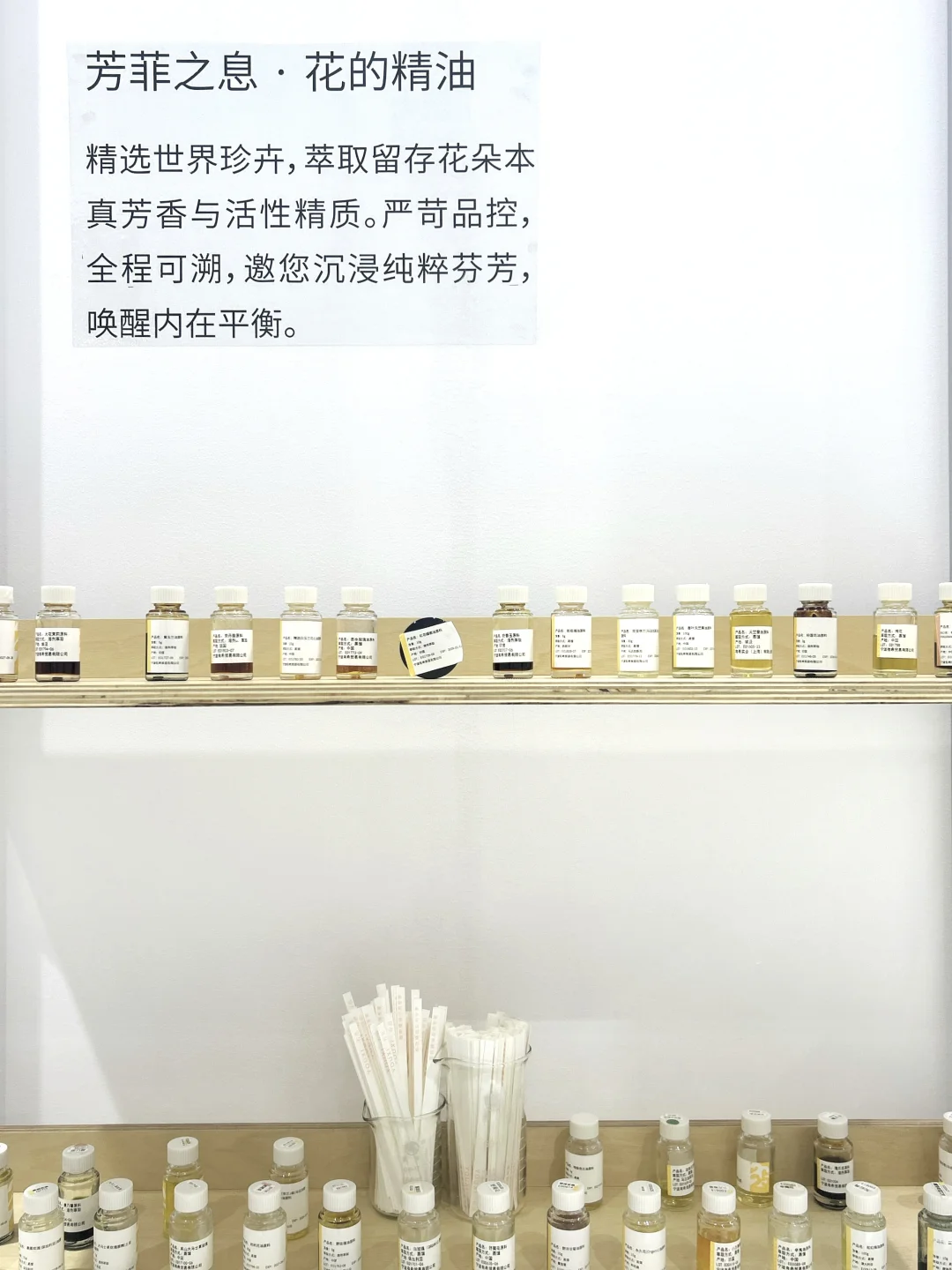 8.22～24 | 2025芳香展 X 有息「森森步息」