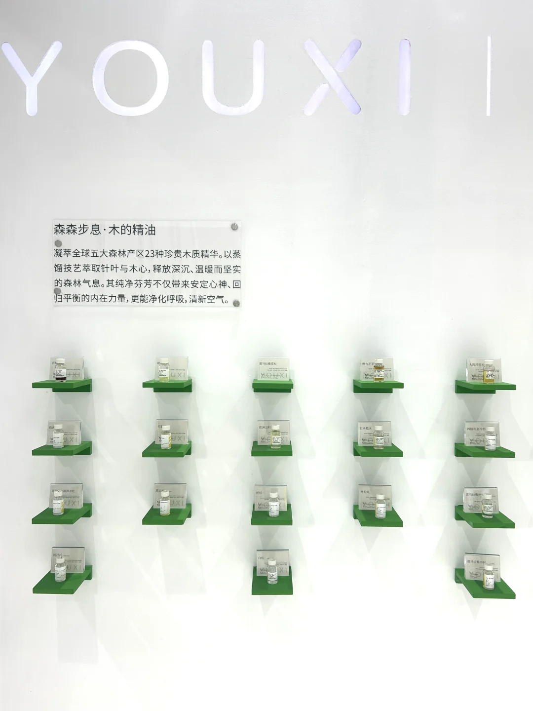 8.22～24 | 2025芳香展 X 有息「森森步息」