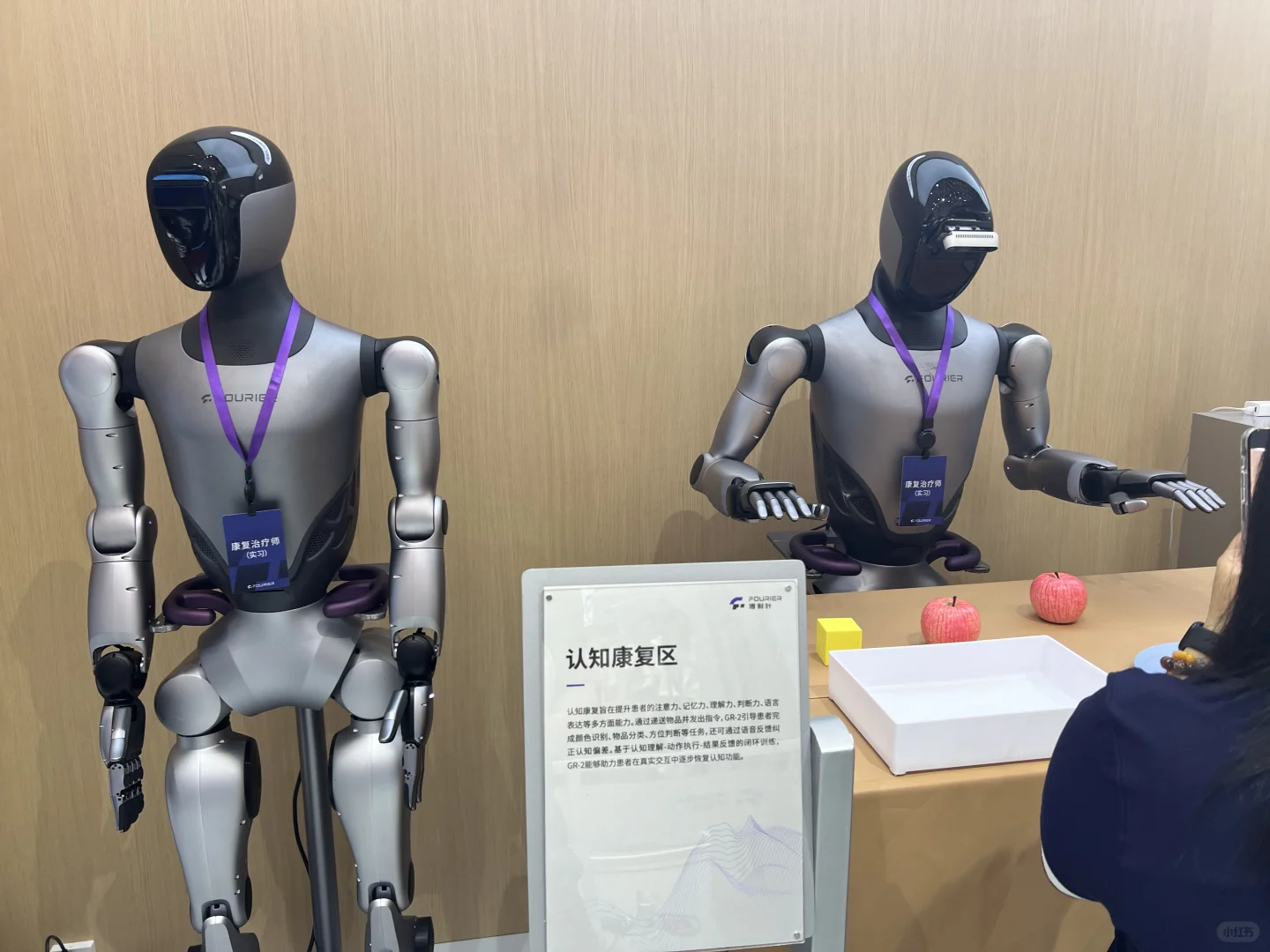 世界机器人大会（上）