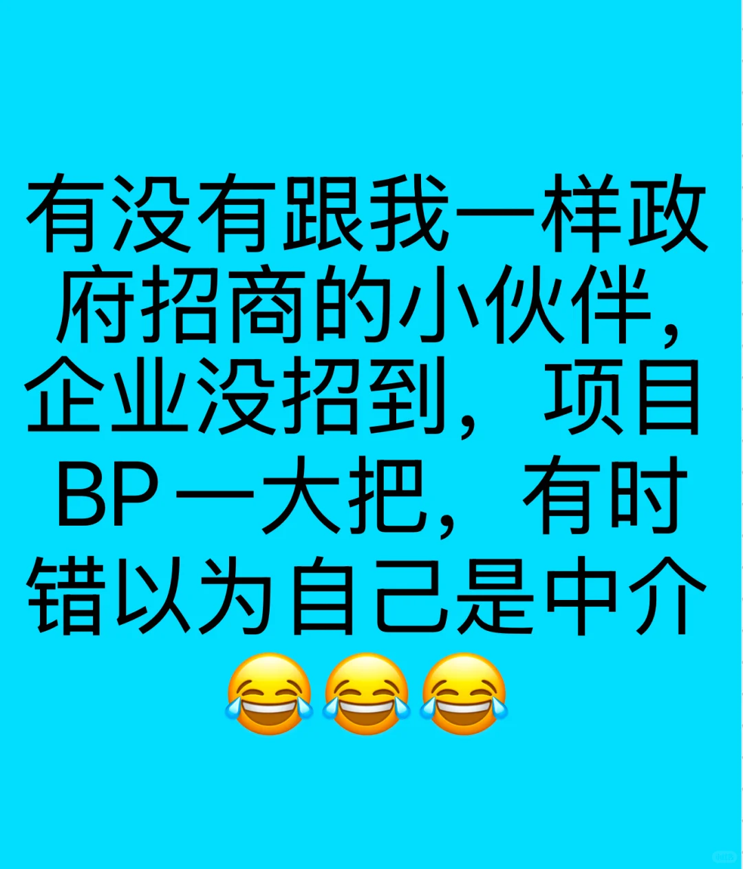 差点做成中介的政府招商