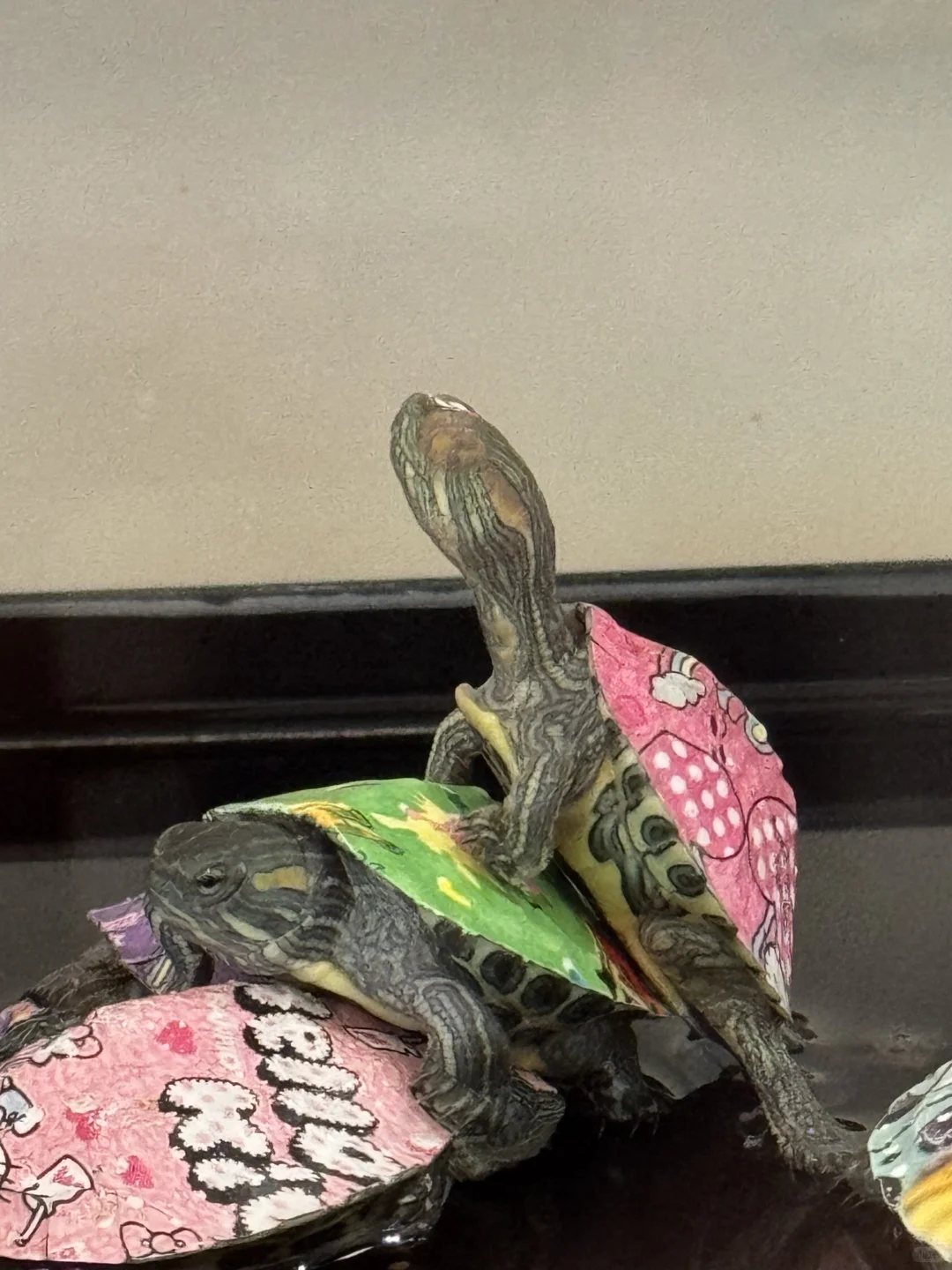 周末遛娃，就在雄安会展中心走一走