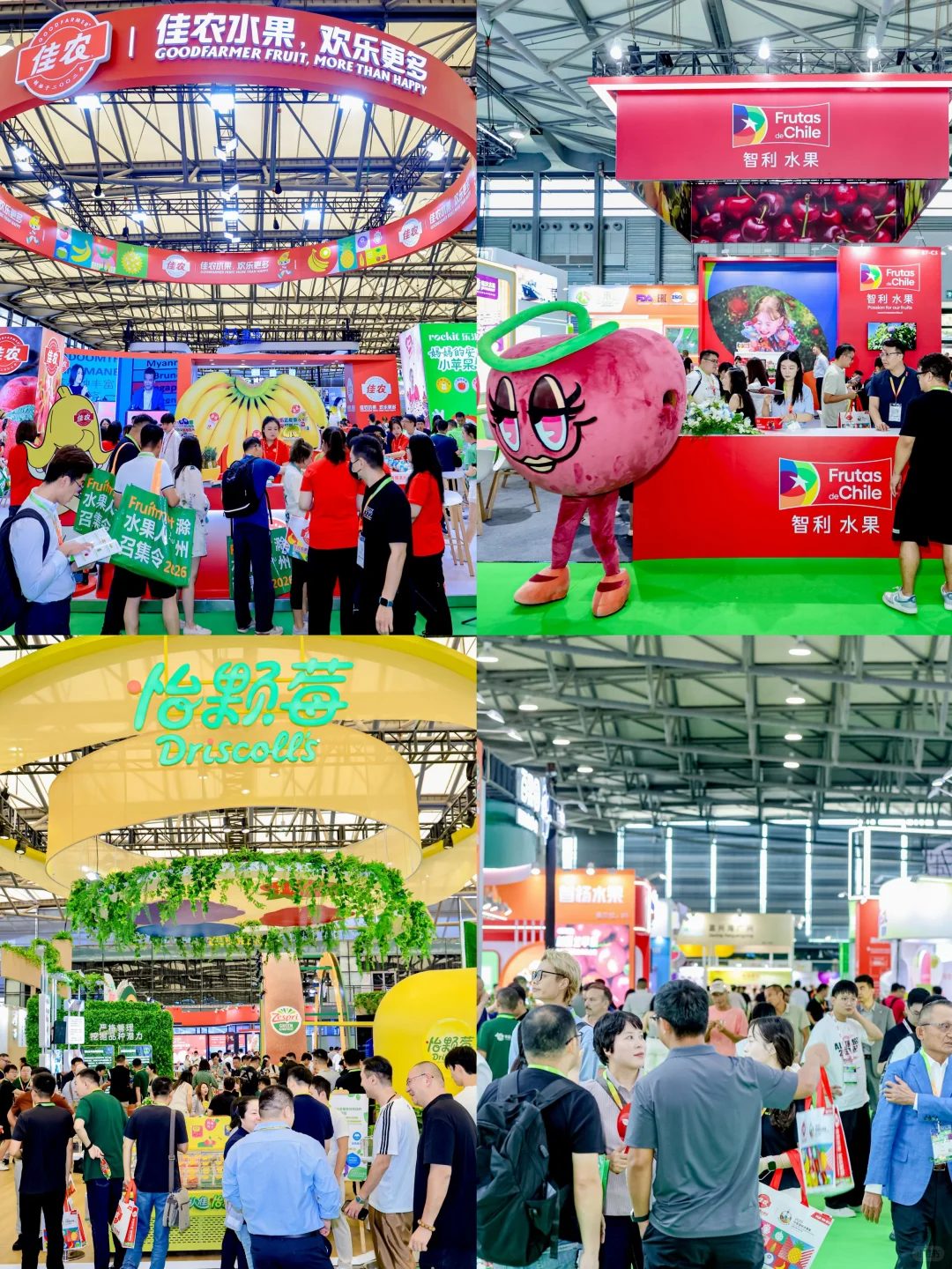 2025中国国际水果展，实现水果自由