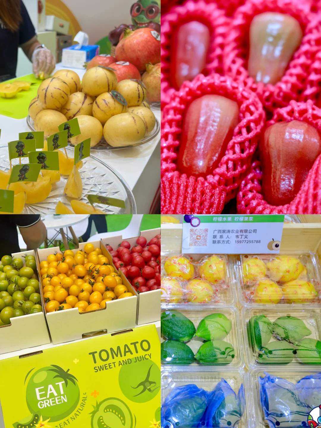 2025中国国际水果展，实现水果自由