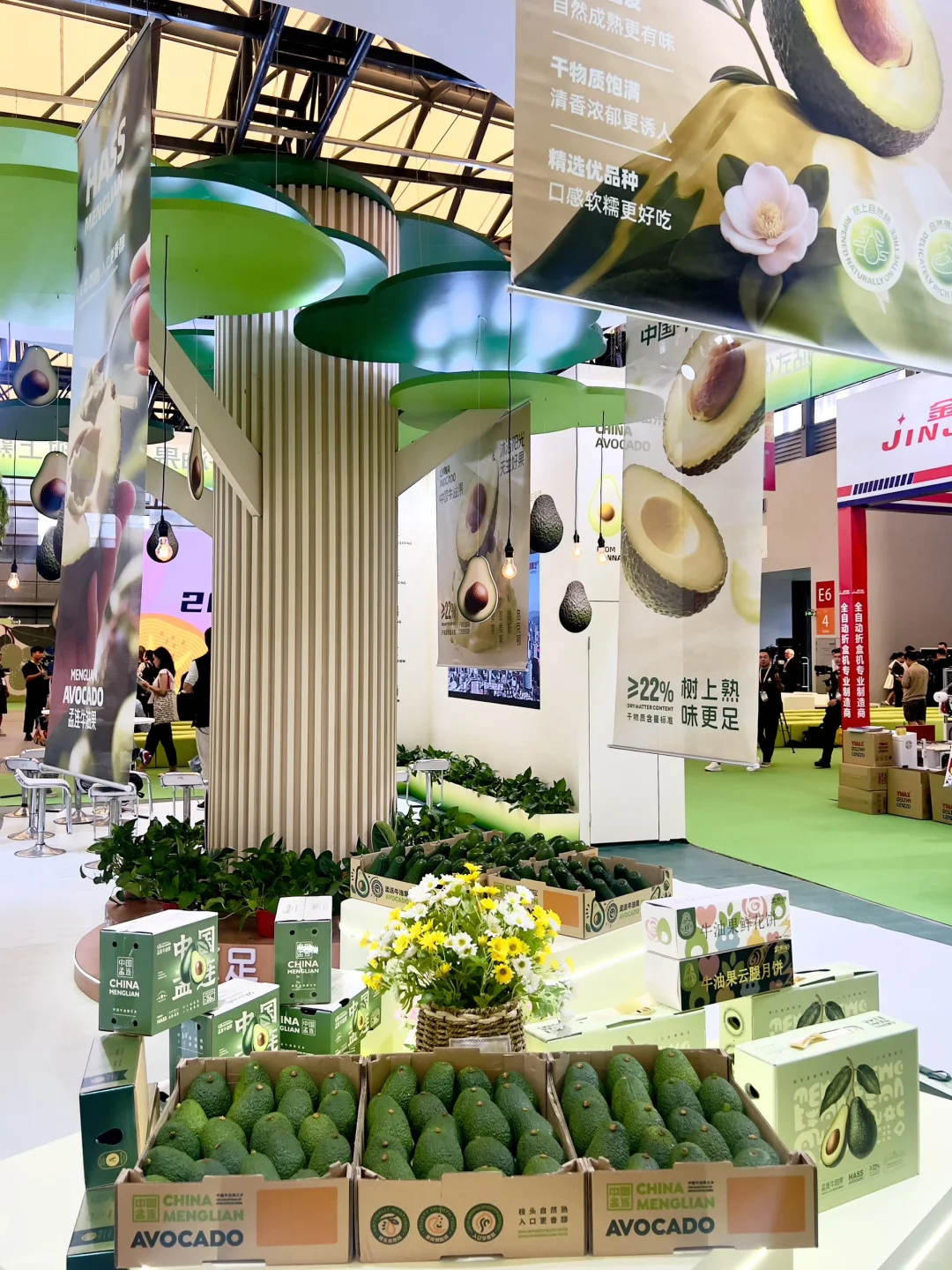 2025中国国际水果展，实现水果自由