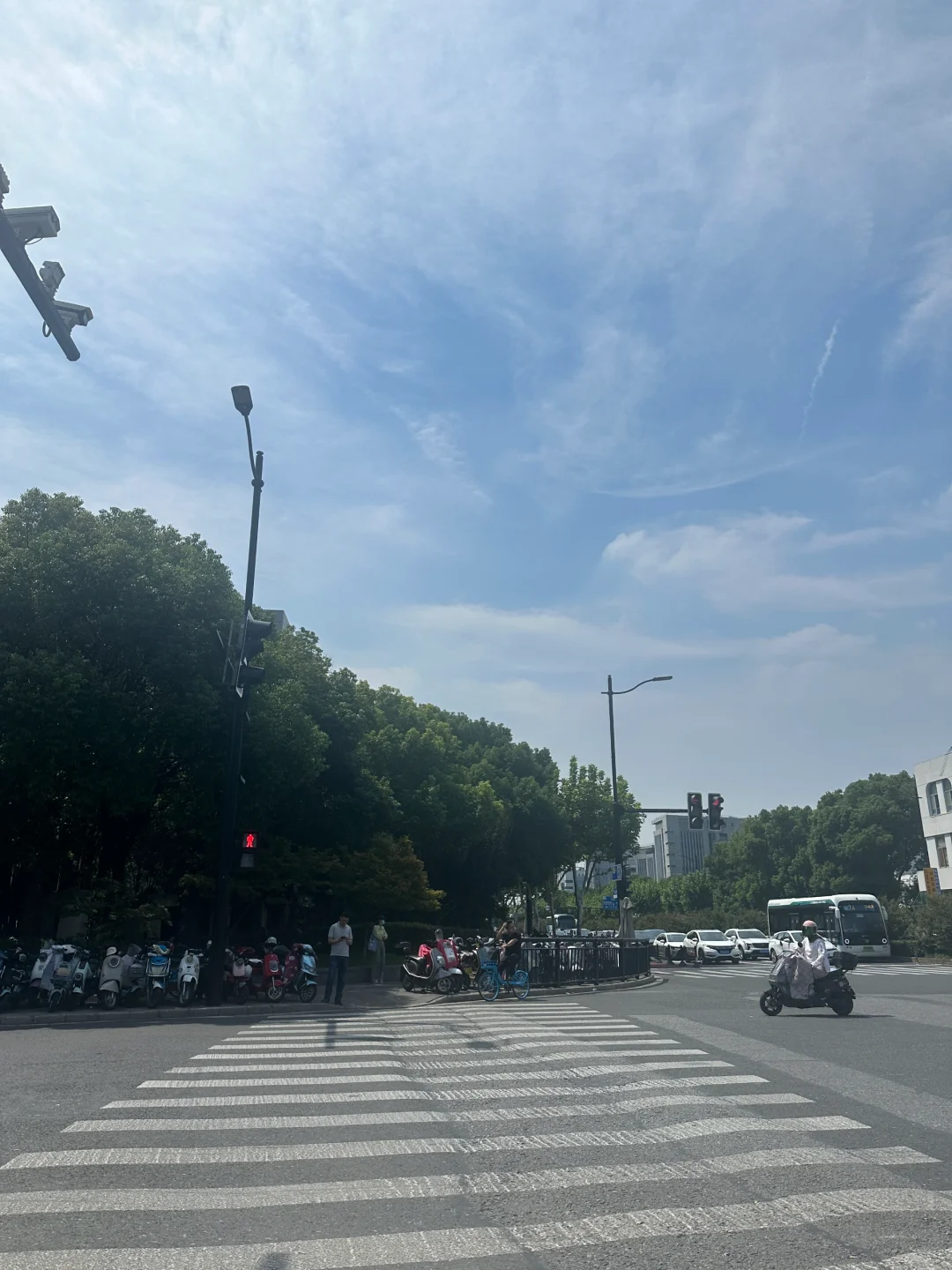 上海小红卡招商会打卡记