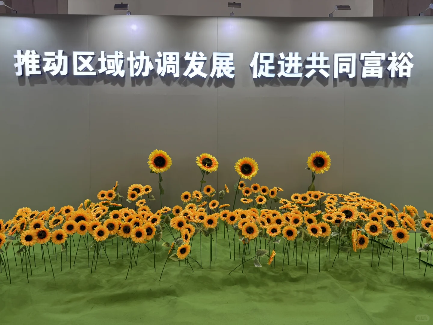 参观：上海对口地区特色产品展销会（一）