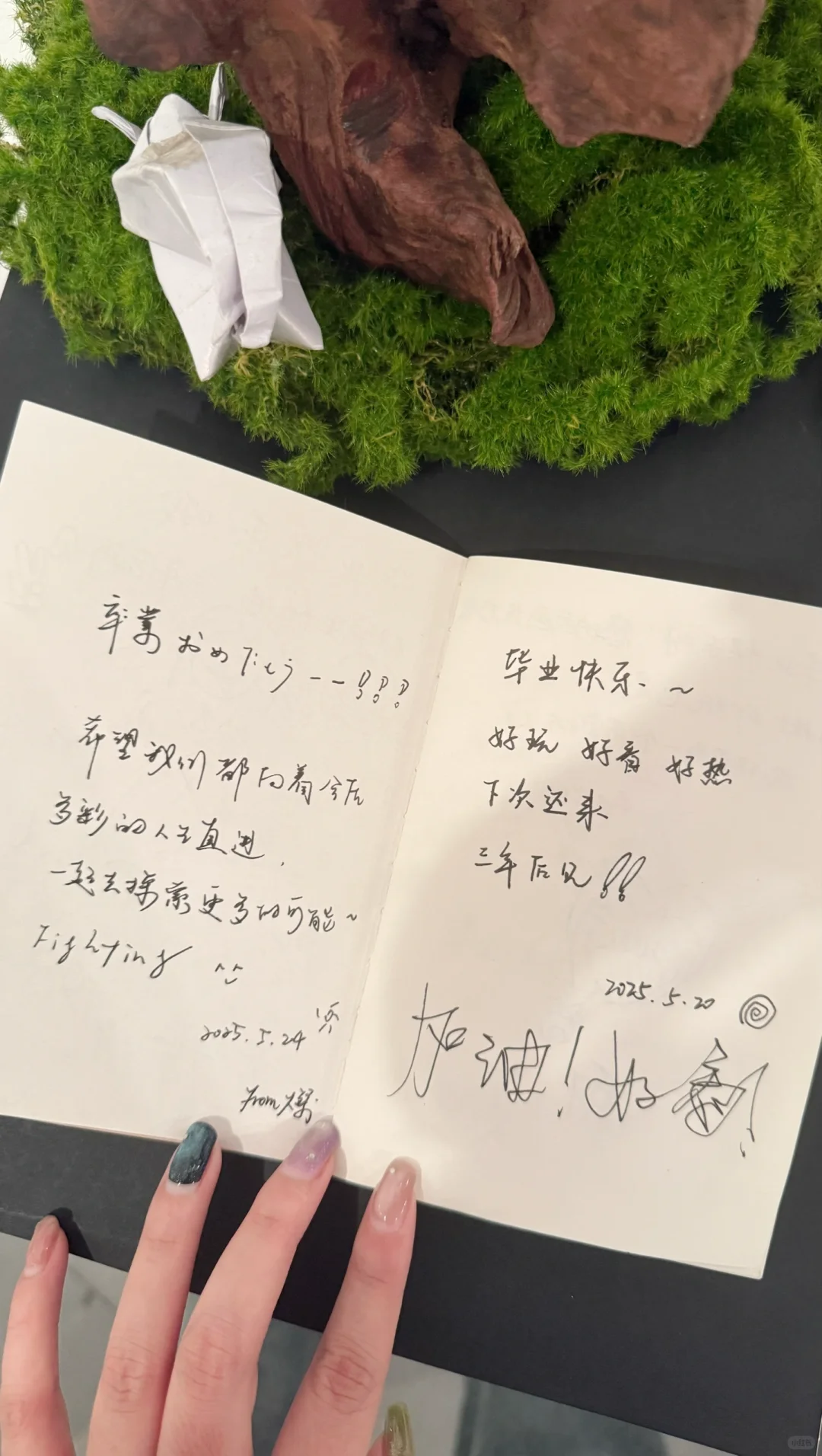 撤展咯～我们三年后再见?