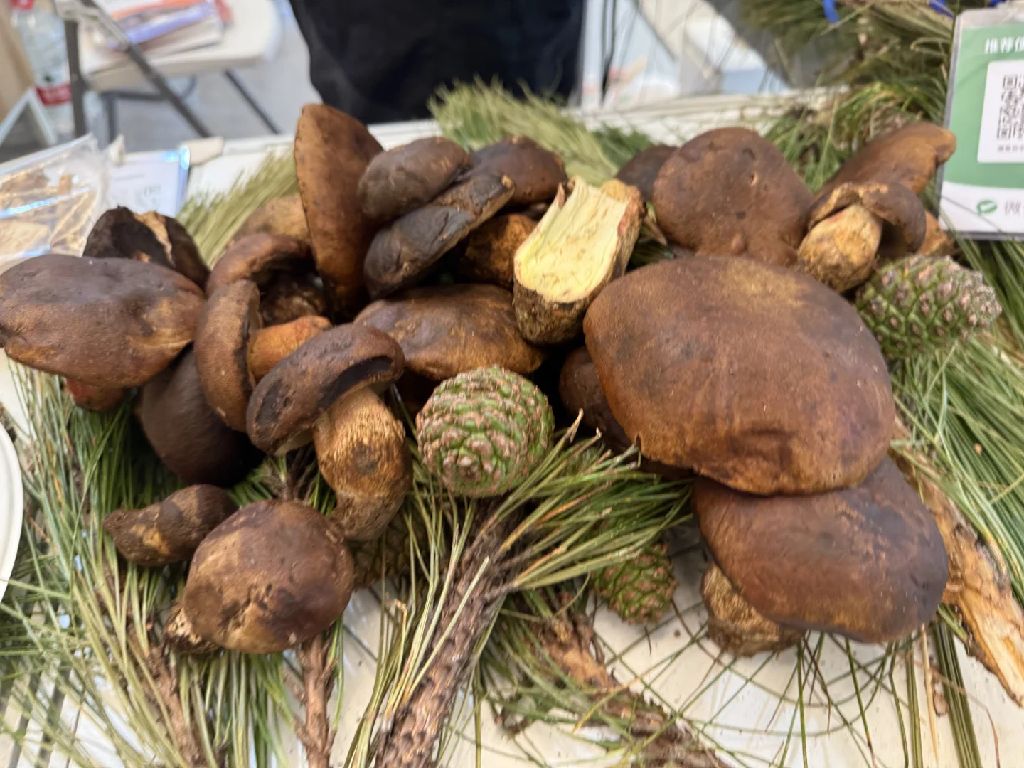 参观：上海对口地区特色产品展销会（一）