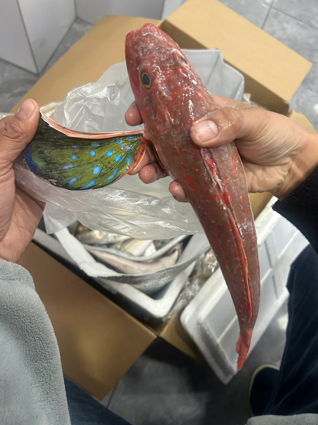 跨境电商和社区团购