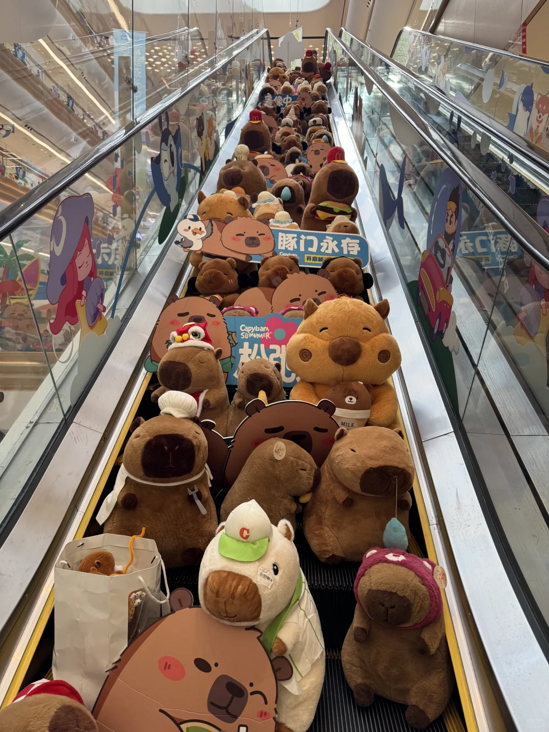 周末遛娃，就在雄安会展中心走一走